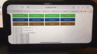 Still image of user controller virtual remote robot via a phone